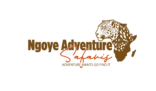 ngoye adventure logo