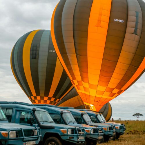 pexels tanzania wild sky 986912744 20179668